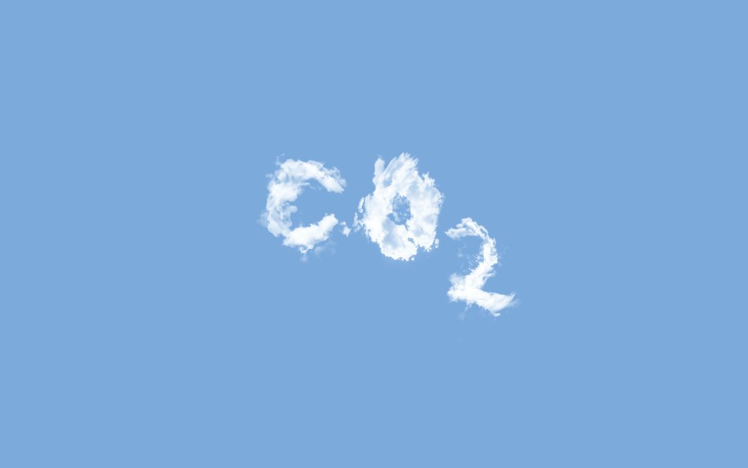 Qaptis captures its first CO2 molecules!