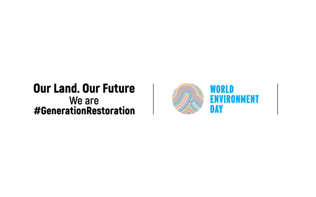 Beyond smog: Why the shipping industry needs a green revolution